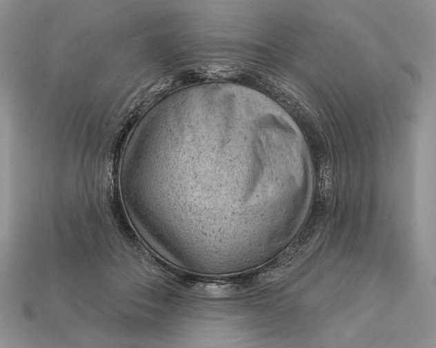 X0000112980506200909171341