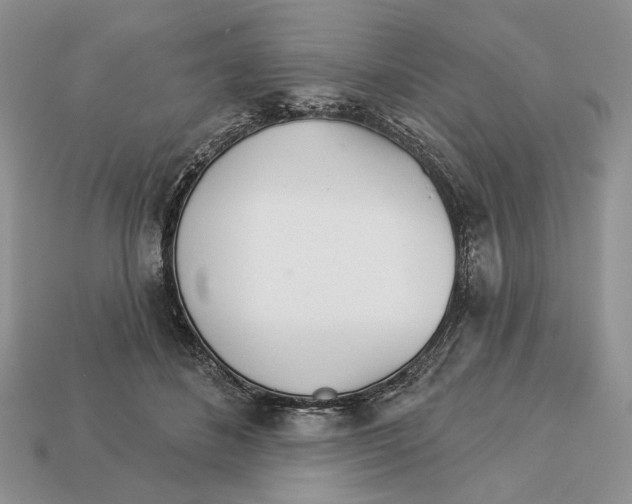 X0000112980508200909171341