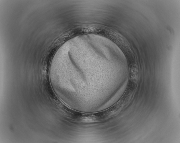 X0000112980510200909171341