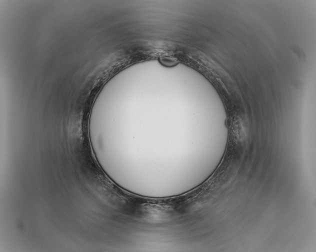 X0000112980512200909171341