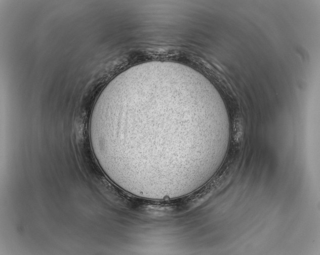 X0000112980515200909171341