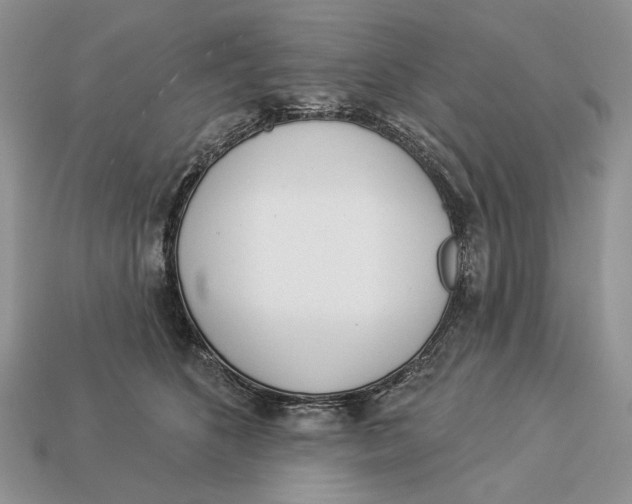 X0000112980516200909171341
