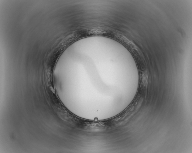 X0000112980517200909171341