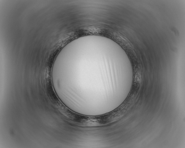 X0000112980518200909171341