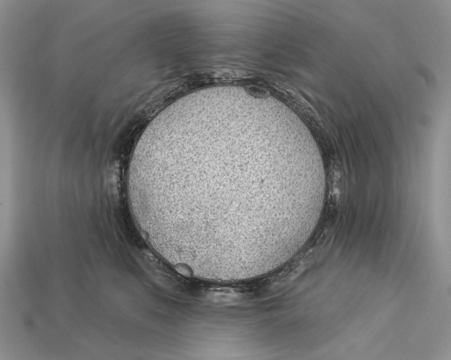 X0000112980519200909171341