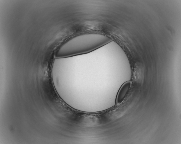 X0000112980520200909171341