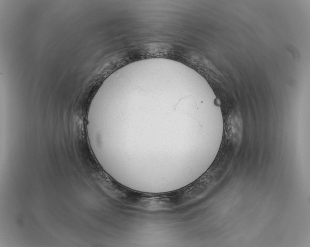 X0000112980522200909171341
