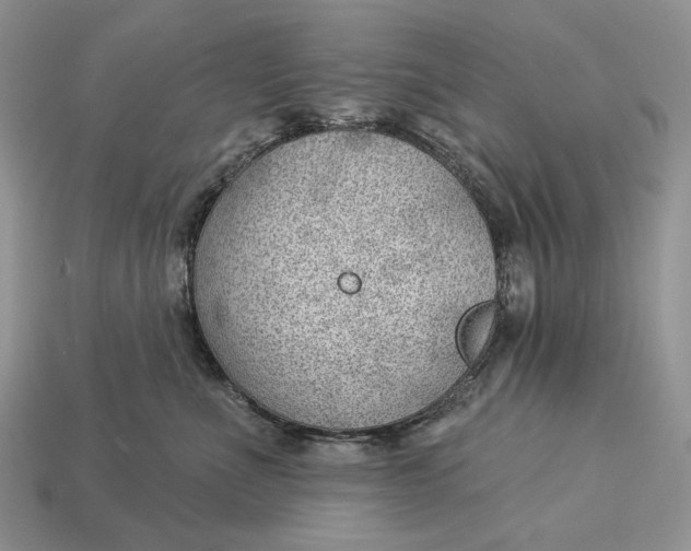 X0000112980523200909171341