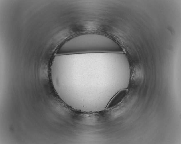X0000112980524200909171341