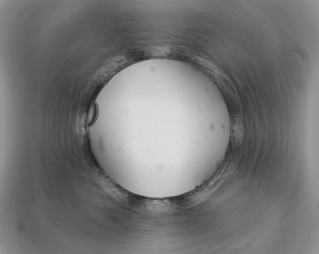 X0000112980525200909171341
