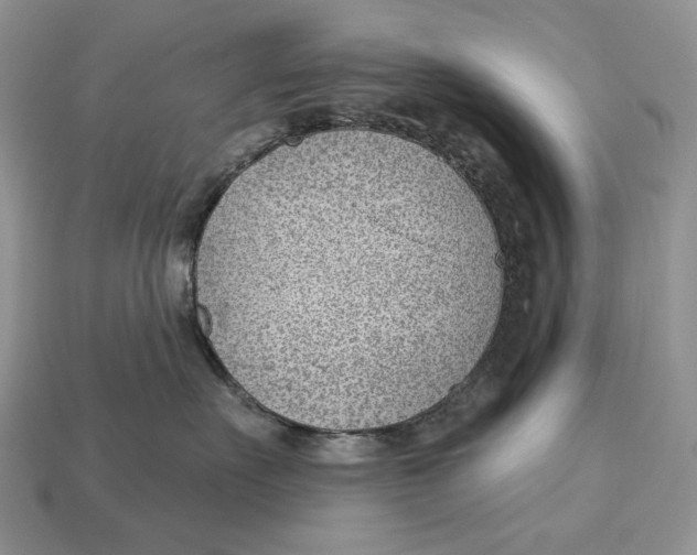 X0000112980527200909171341