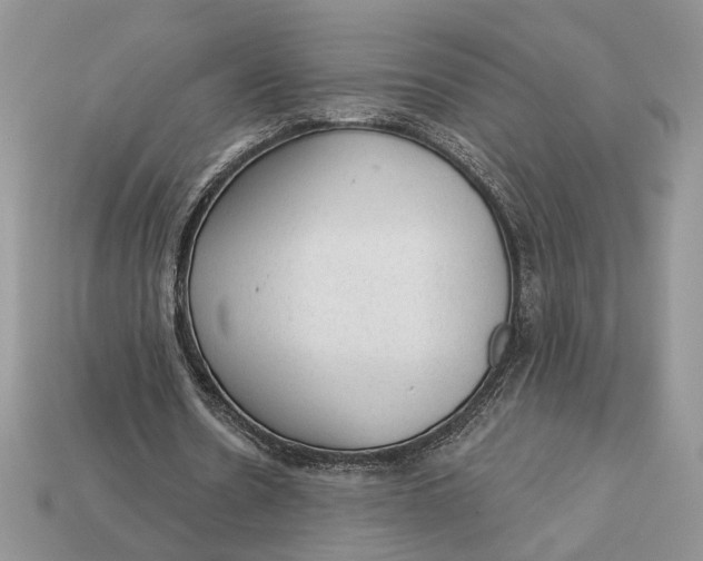 X0000112980530200909171340