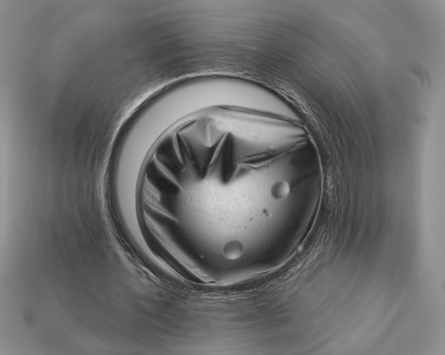 X0000112980532200909171340