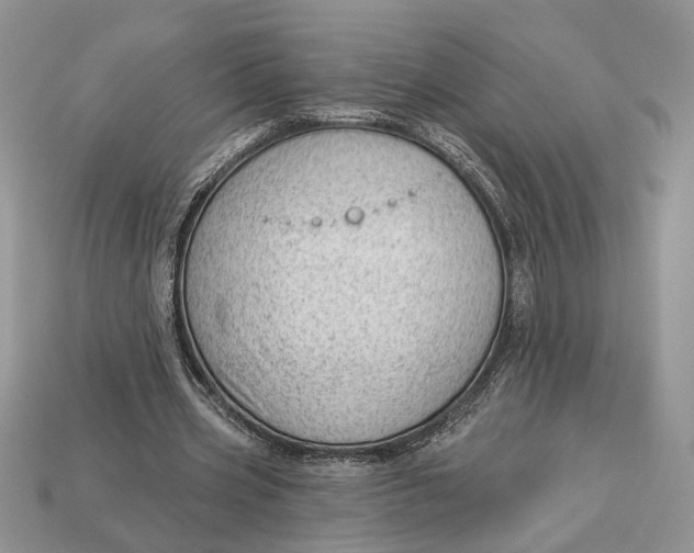 X0000112980533200909171340