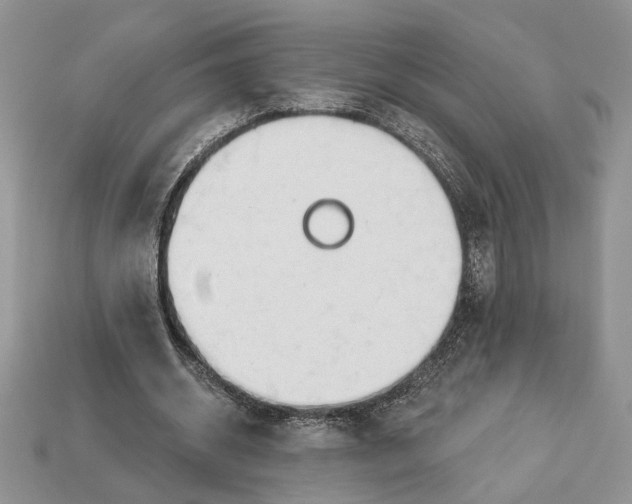 X0000112980534200909171340