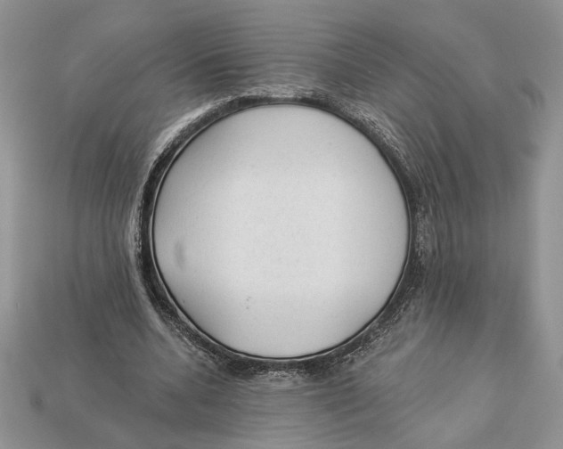 X0000112980536200909171340