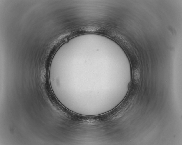 X0000112980540200909171340