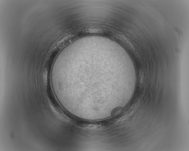 X0000112980542200909171340