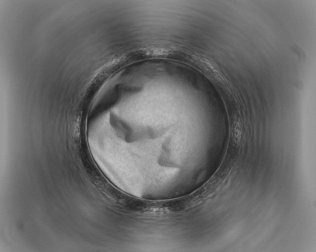 X0000112980543200909171340