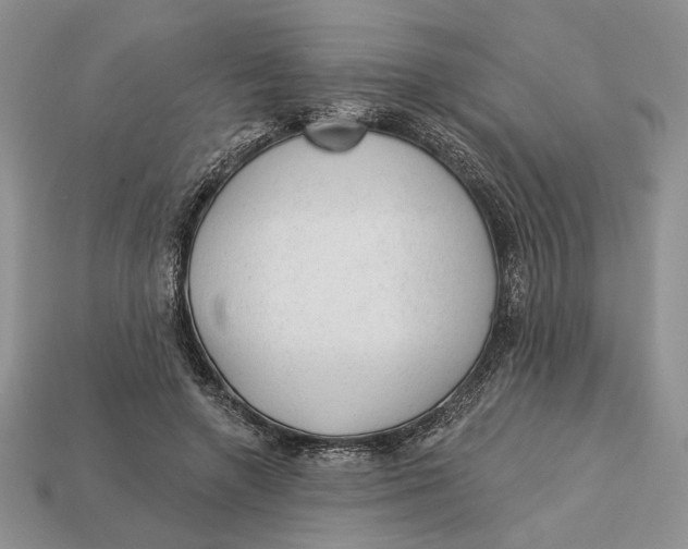 X0000112980546200909171340