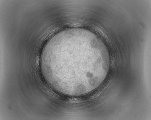 X0000112980549200909171340