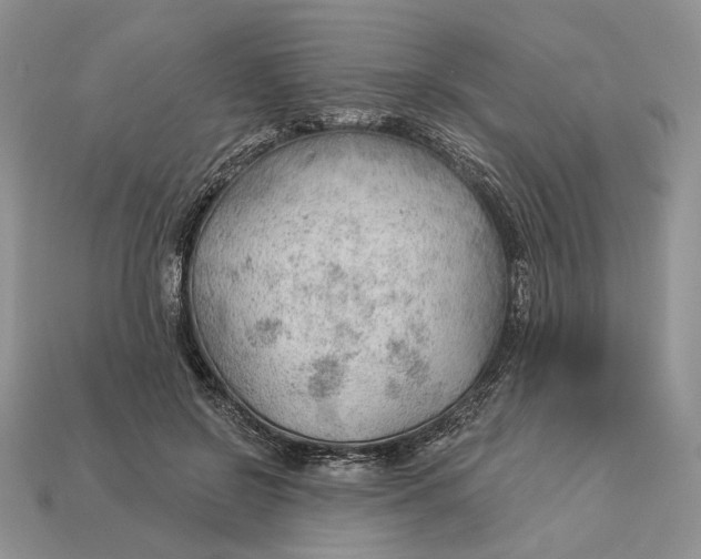 X0000112980550200909171340