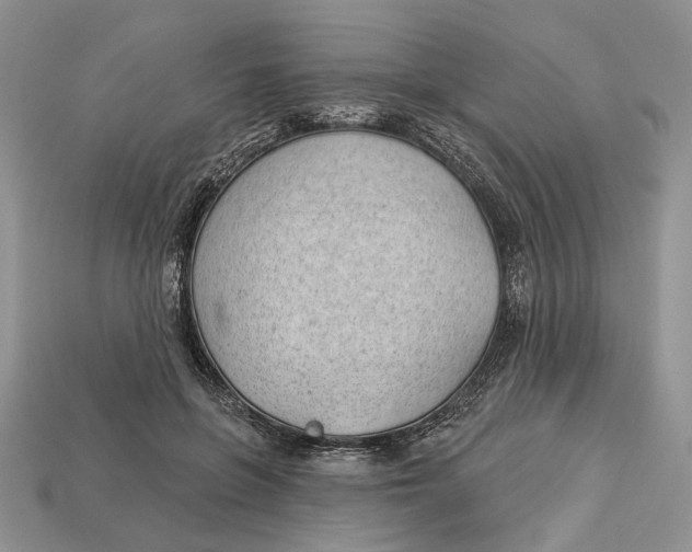 X0000112980551200909171340