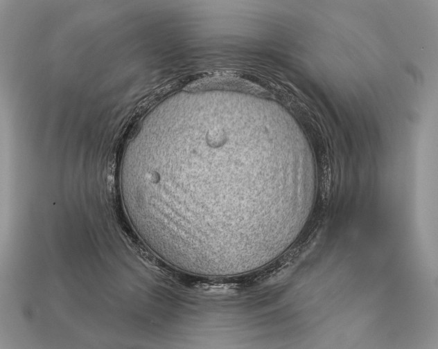 X0000112980553200909171340