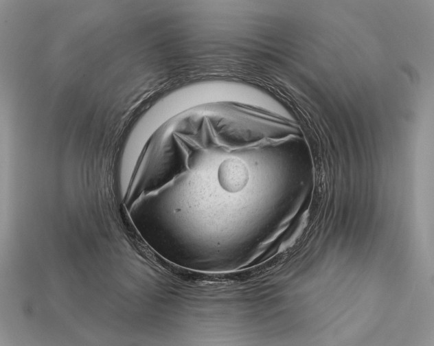 X0000112980556200909171340