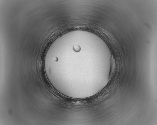 X0000112980558200909171340