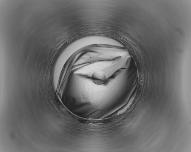 X0000112980560200909171340