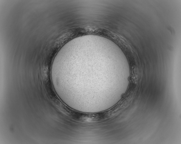 X0000112980563200909171340