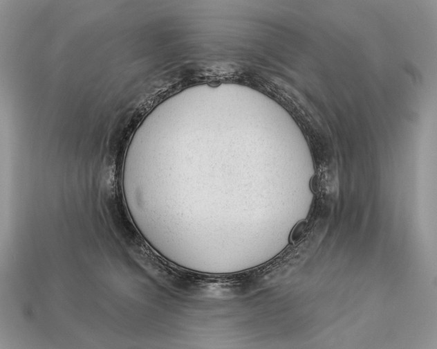 X0000112980564200909171341