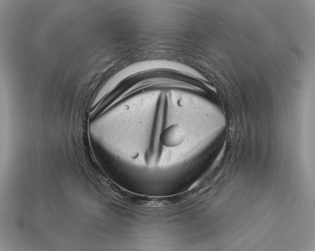 X0000112980566200909171341