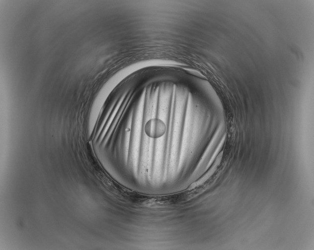 X0000112980568200909171341