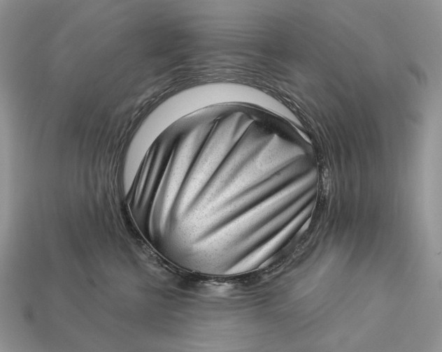 X0000112980570200909171341