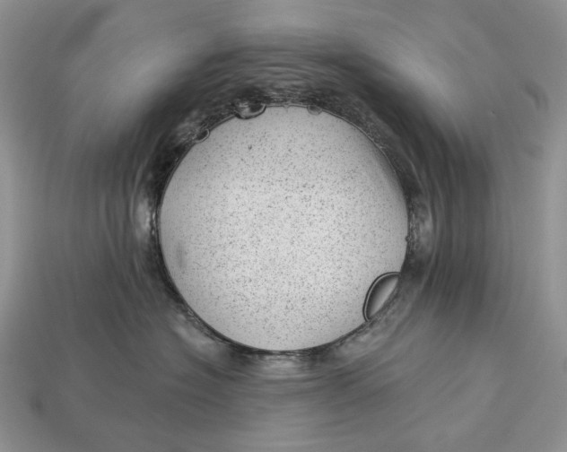 X0000112980574200909171341