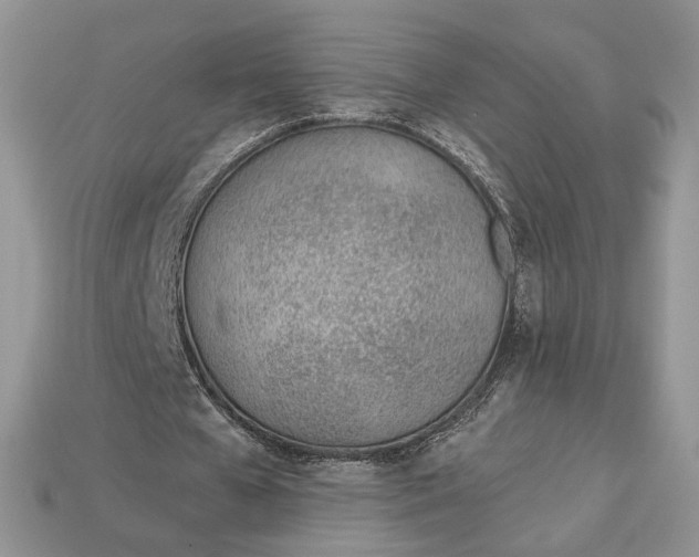 X0000112980577200909171340