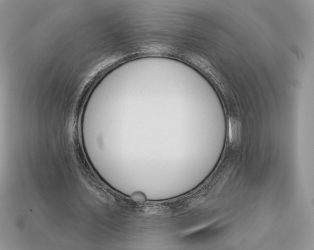 X0000112980579200909171340