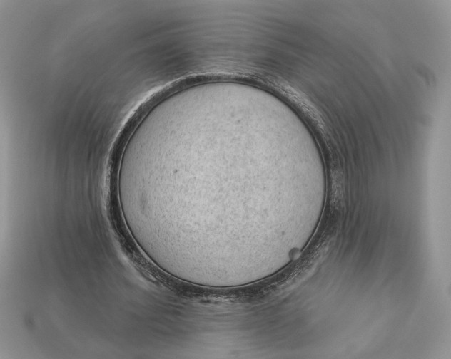 X0000112980580200909171340