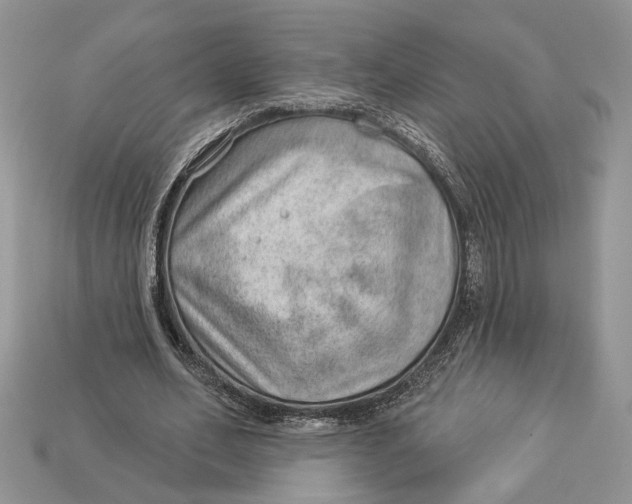 X0000112980582200909171340