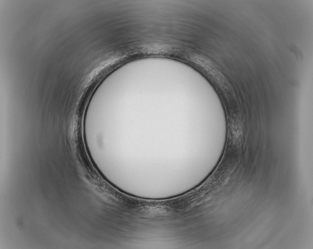 X0000112980583200909171340