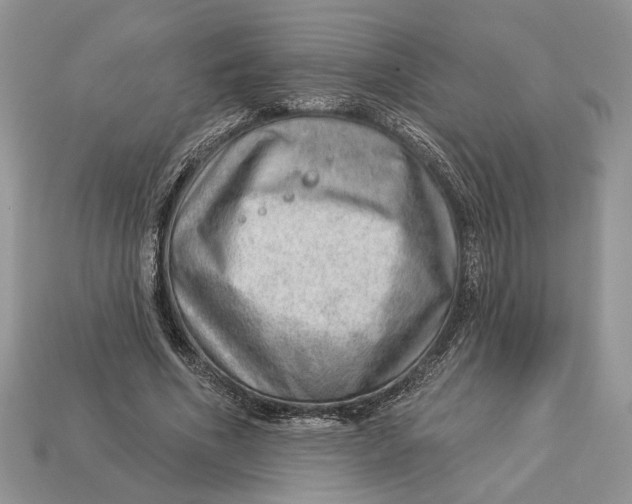 X0000112980586200909171340