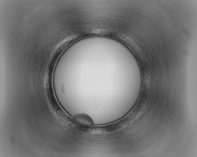 X0000112980587200909171340