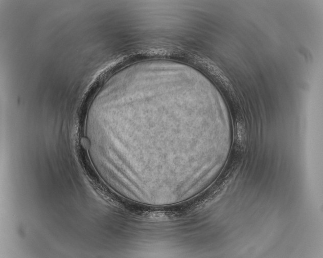 X0000112980588200909171340