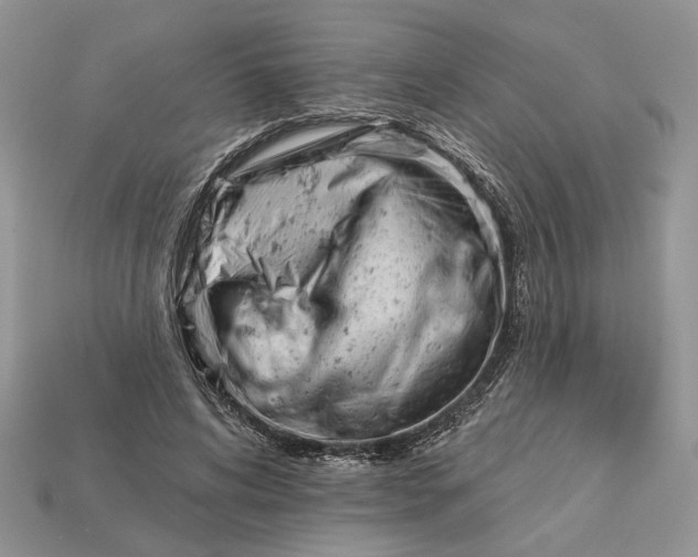 X0000112980592200909171340