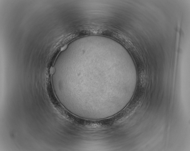 X0000112980594200909171340