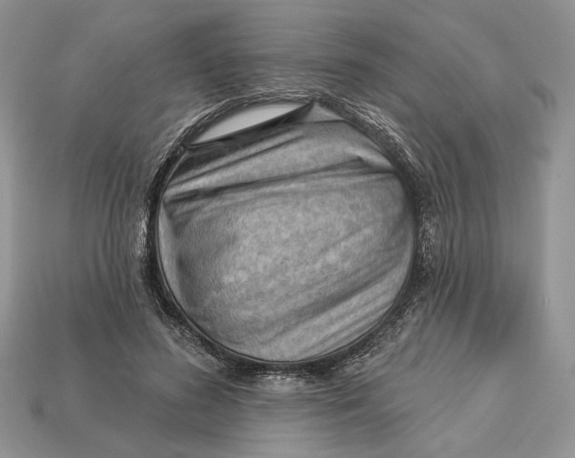 X0000112980596200909171340