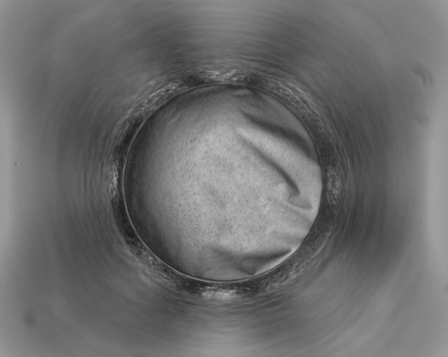 X0000112980602200909171340