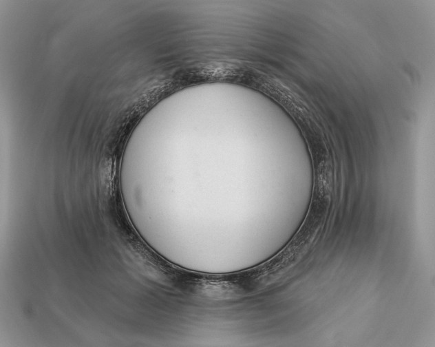 X0000112980605200909171340